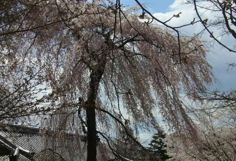 Majatalo Uji   House   Vacation Stay 9753