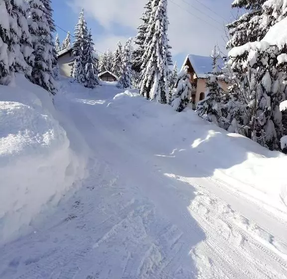 پانسیون Vila Jelena