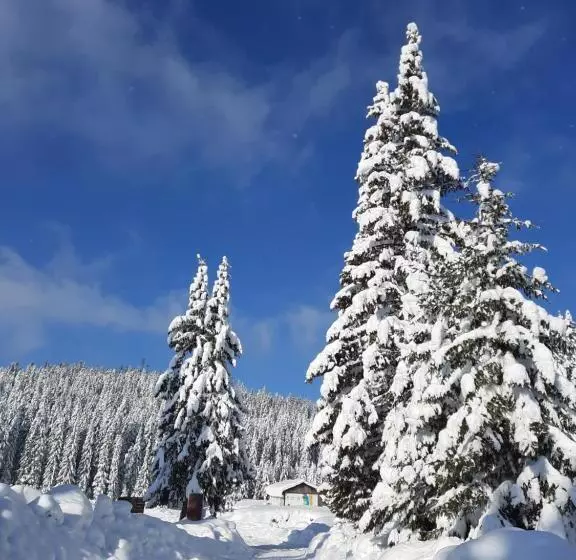 پانسیون Vila Jelena