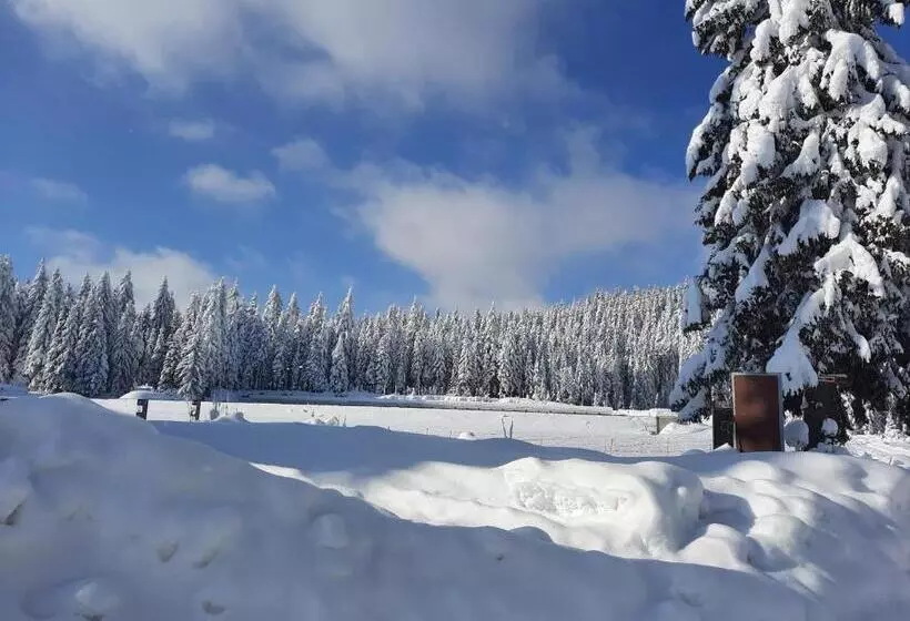 پانسیون Vila Jelena