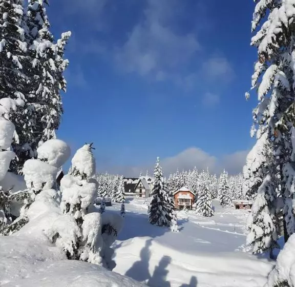 پانسیون Vila Jelena