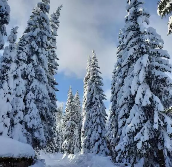 پانسیون Vila Jelena