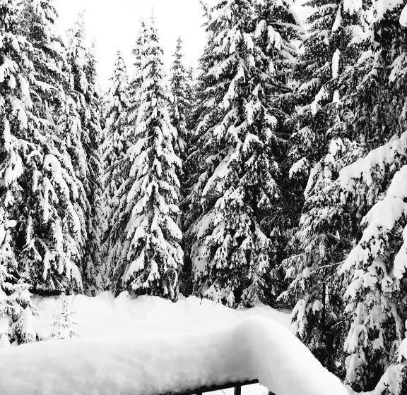 پانسیون Vila Jelena