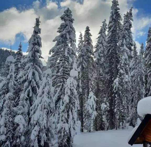 پانسیون Vila Jelena