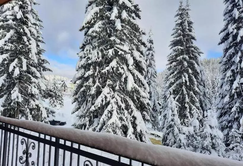 پانسیون Vila Jelena