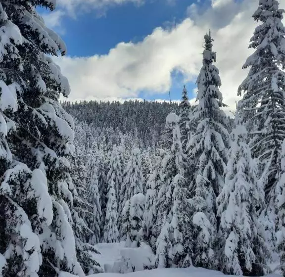 پانسیون Vila Jelena