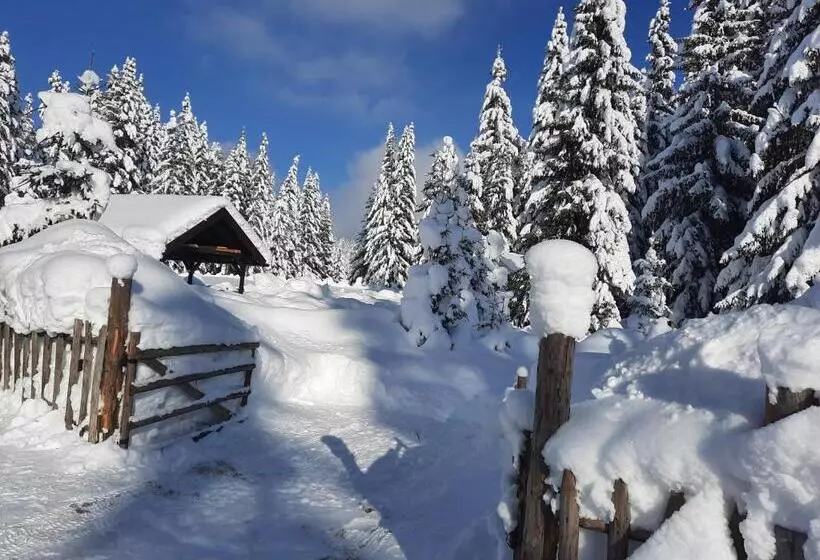 پانسیون Vila Jelena