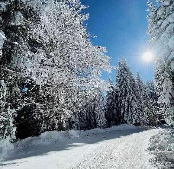 پانسیون Vila Jelena