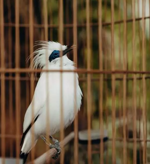 East Bali Volcano View Resort & Spa   Adults Only Area