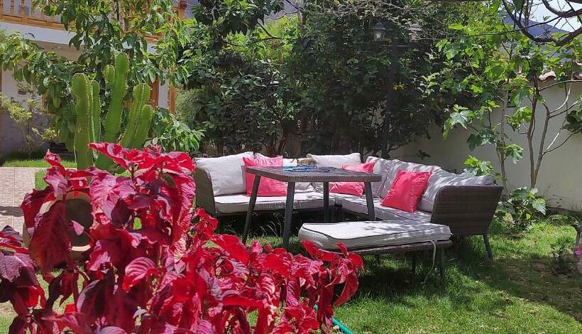 Hotel Casa Don David   Museo