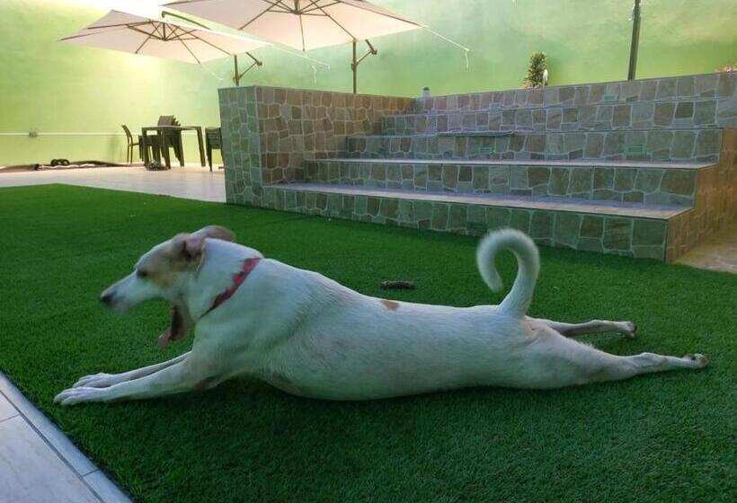 Libertad 109 Hotel Con Generador Eléctrico