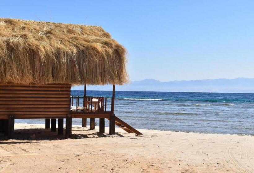 هتل Shanty Beach Camp Suer