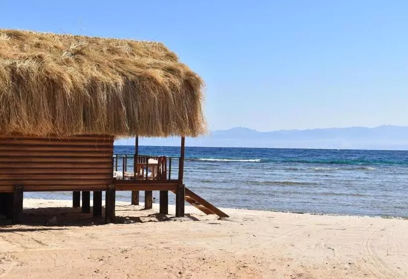 هتل Shanty Beach Camp Suer