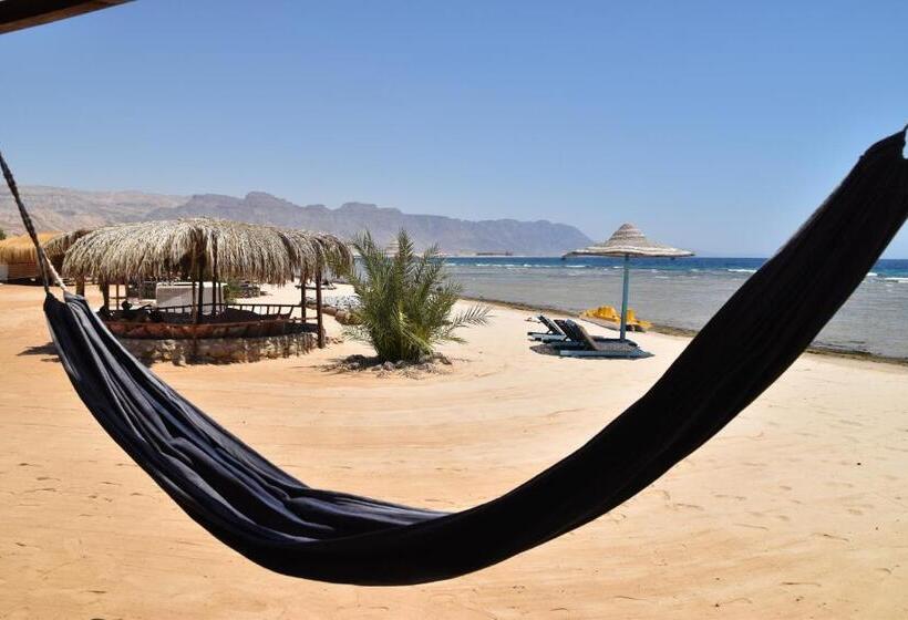 هتل Shanty Beach Camp Suer