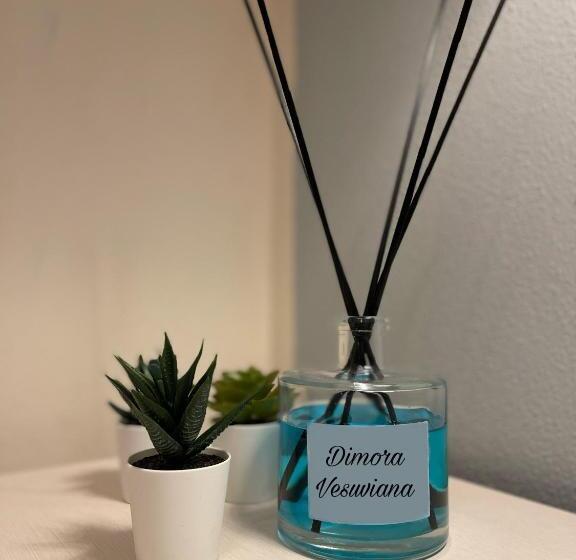 膳宿费 Dimora Vesuviana