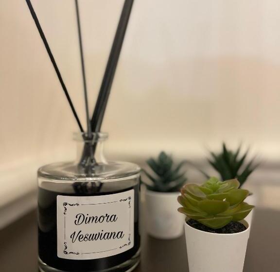 膳宿费 Dimora Vesuviana