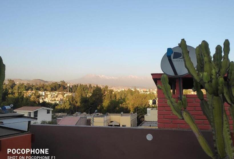 بنسيون Flying House Hostel