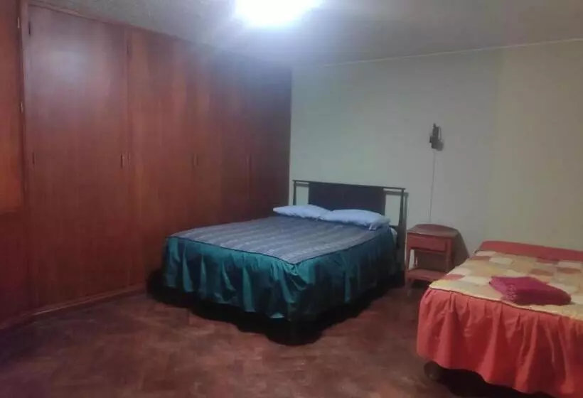 پانسیون Flying House Hostel
