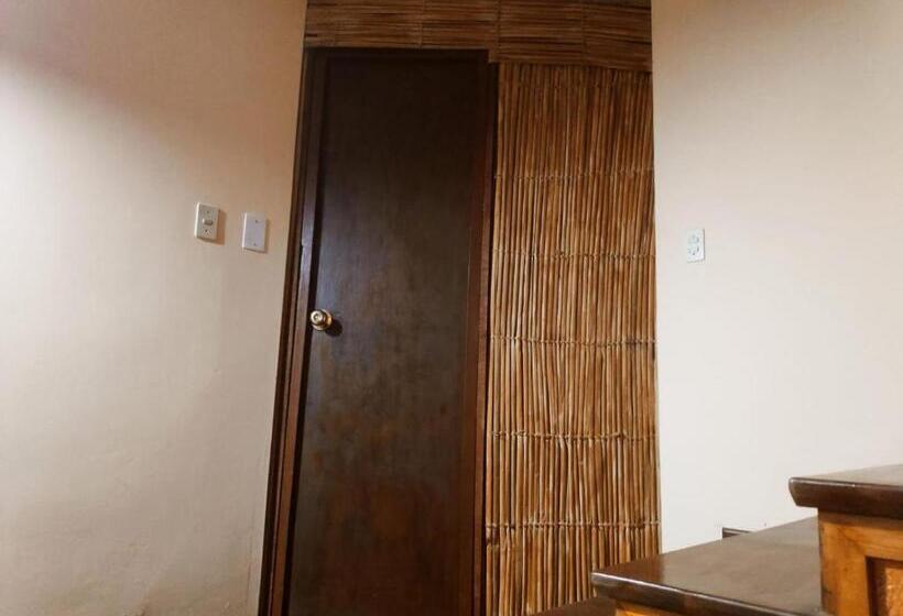 بنسيون Flying House Hostel