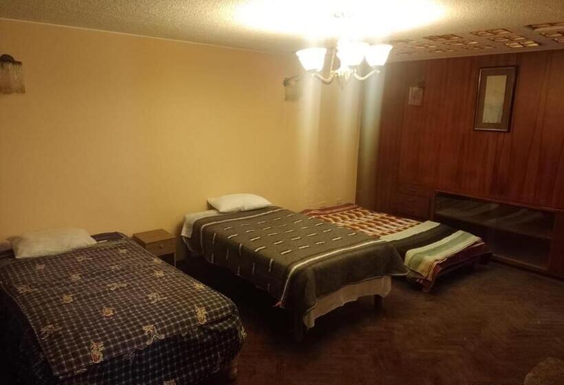 بنسيون Flying House Hostel