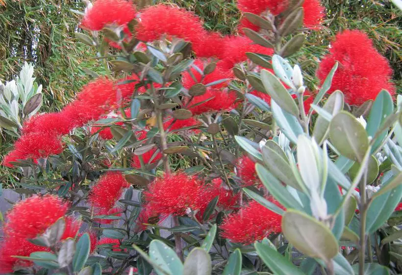 Bed and Breakfast Abbey House