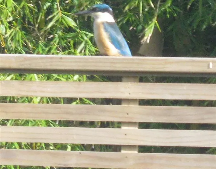 Bed and Breakfast Abbey House