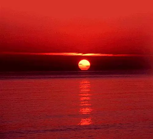 ベッドアンドブレックファースト Carringtons Inn