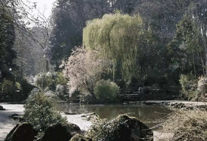 צימר Miricia Guest House