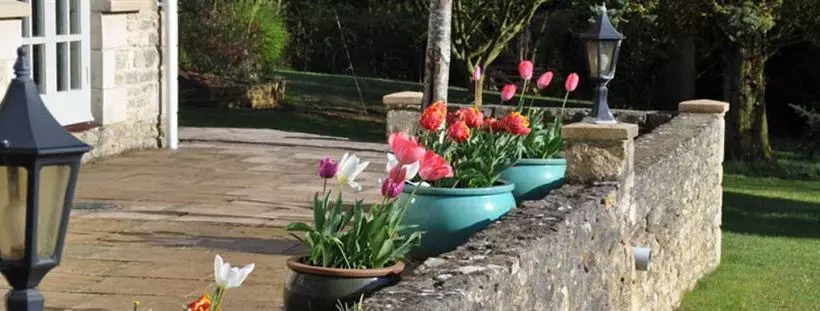 Bed & Breakfast Still Meadow