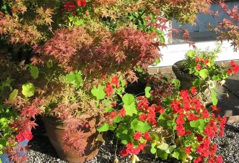 住宿加早餐 Whiskey Mansion