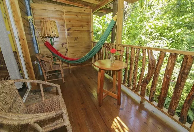 ベッドアンドブレックファースト Zimbali Culinary Retreats