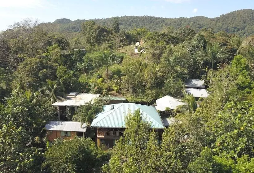 ベッドアンドブレックファースト Zimbali Culinary Retreats