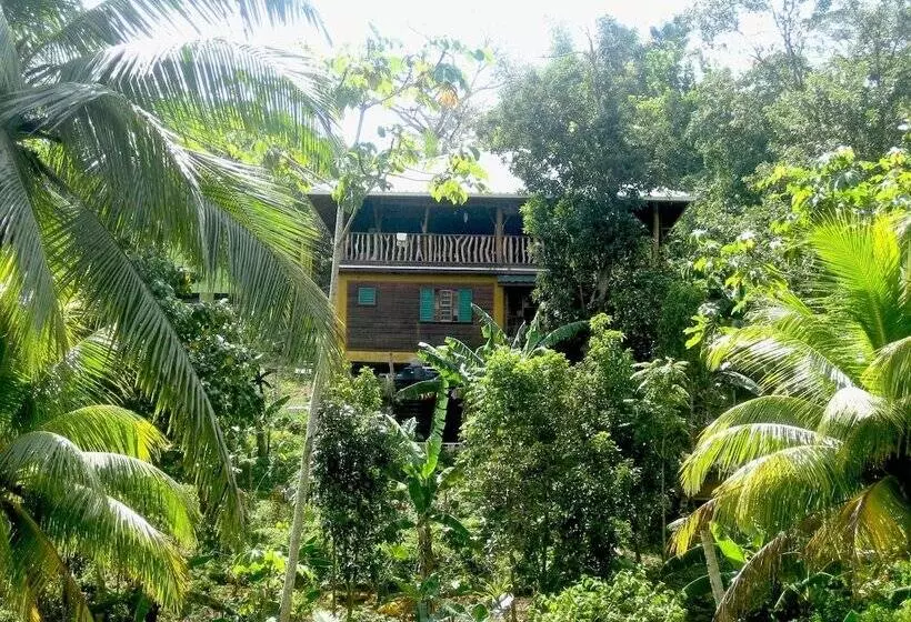 ベッドアンドブレックファースト Zimbali Culinary Retreats