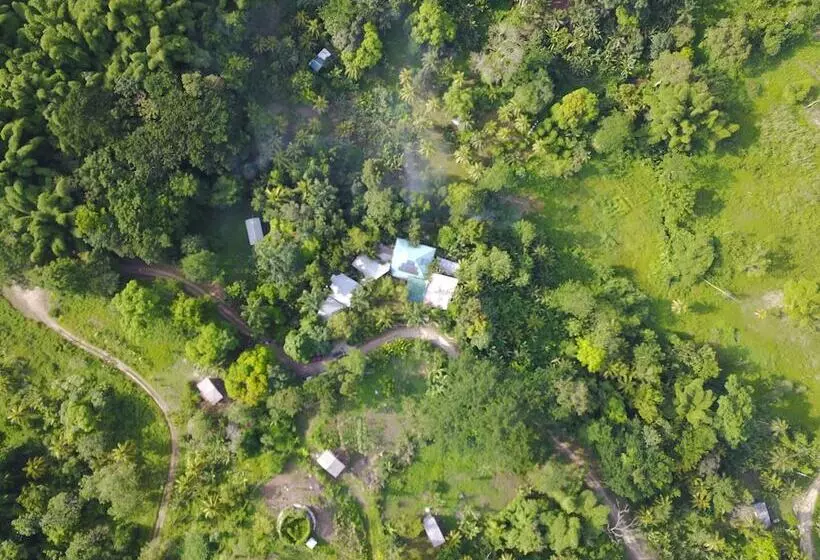 ベッドアンドブレックファースト Zimbali Culinary Retreats