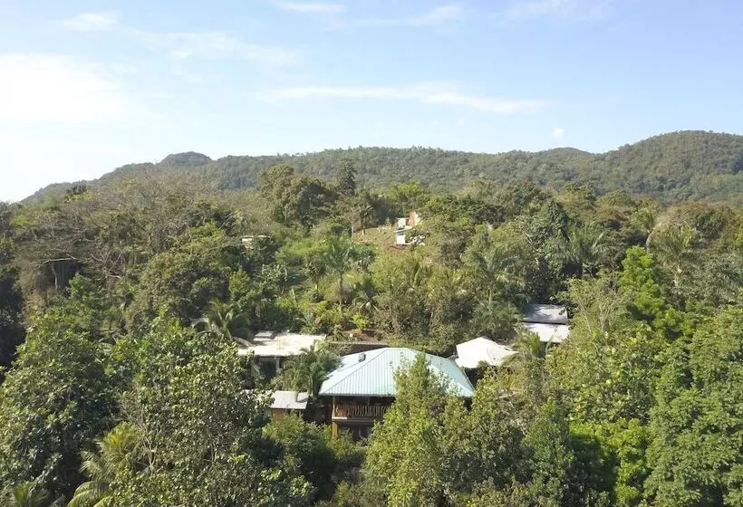 ベッドアンドブレックファースト Zimbali Culinary Retreats