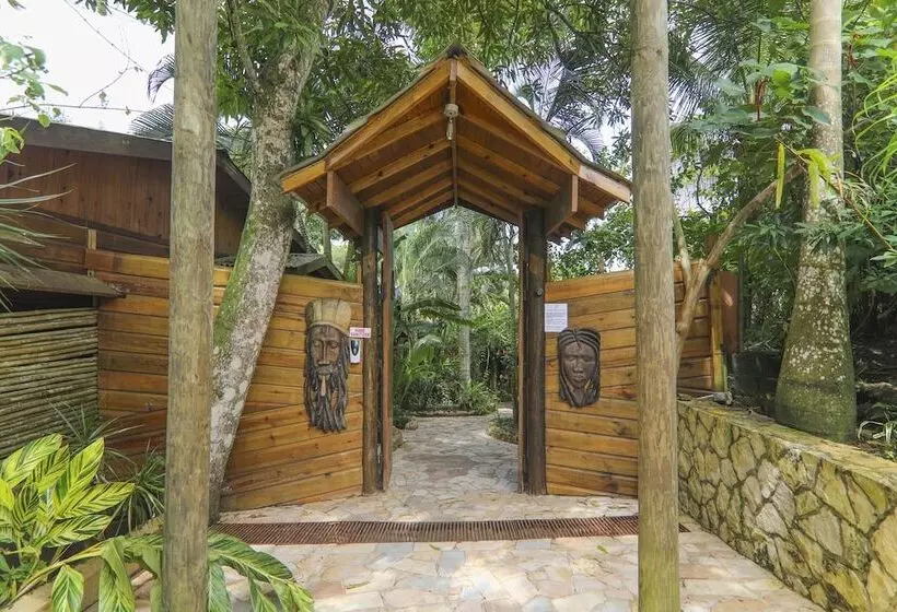 ベッドアンドブレックファースト Zimbali Culinary Retreats