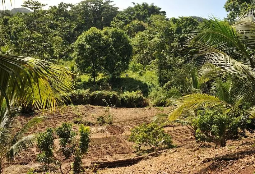 ベッドアンドブレックファースト Zimbali Culinary Retreats