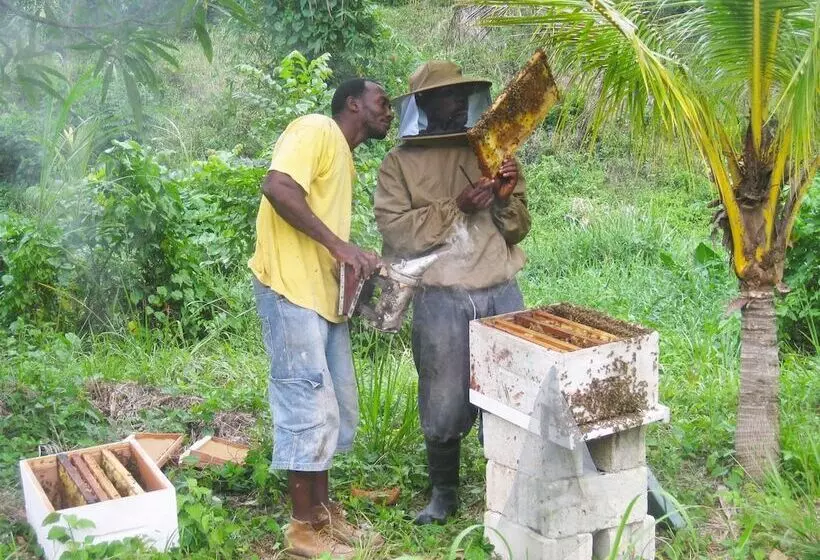 ベッドアンドブレックファースト Zimbali Culinary Retreats