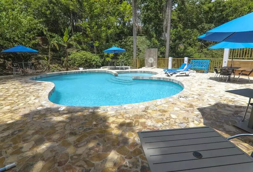 ベッドアンドブレックファースト Zimbali Culinary Retreats