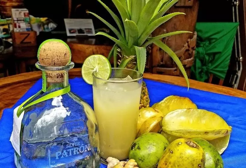 ベッドアンドブレックファースト Zimbali Culinary Retreats