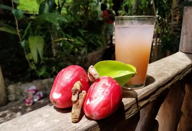 ベッドアンドブレックファースト Zimbali Culinary Retreats