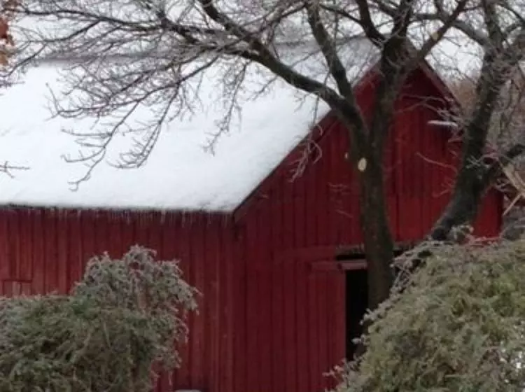 Granny Lou's Bed And Breakfast