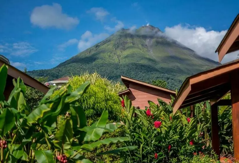 هتل El Silencio Del Campo