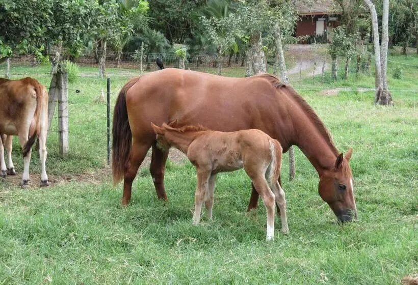 هتل El Silencio Del Campo