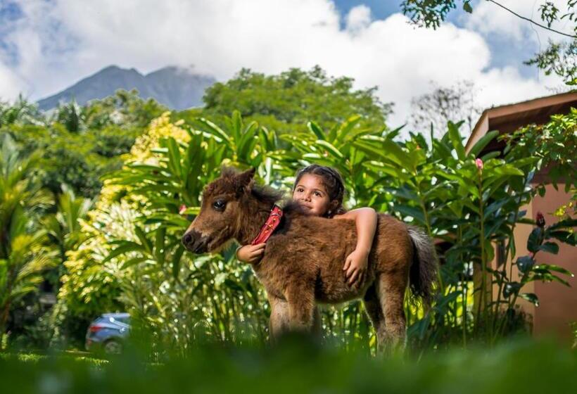 בית מלון כפרי El Silencio Del Campo