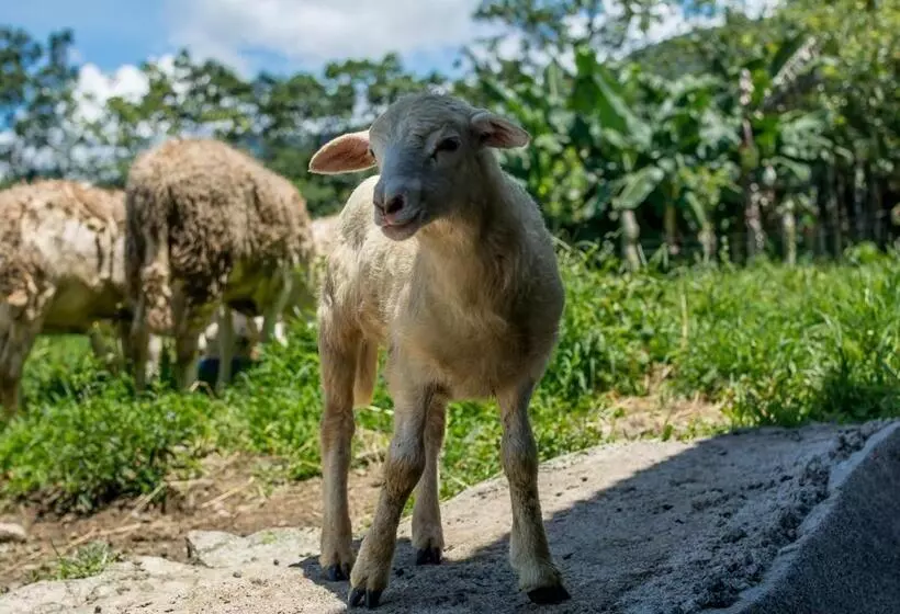 هتل El Silencio Del Campo