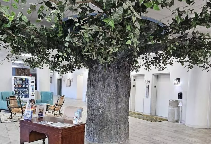 ホテル Grand Smokies Resort Lodge Pigeon Forge