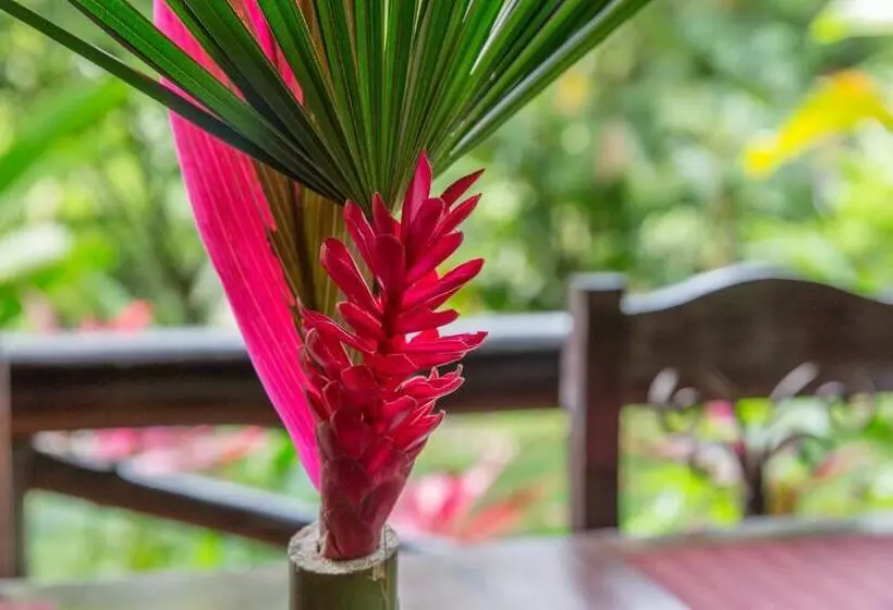 هتل Kokoro Mineral Hot Springs