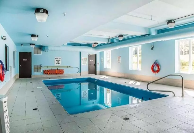 Отель Quality Inn