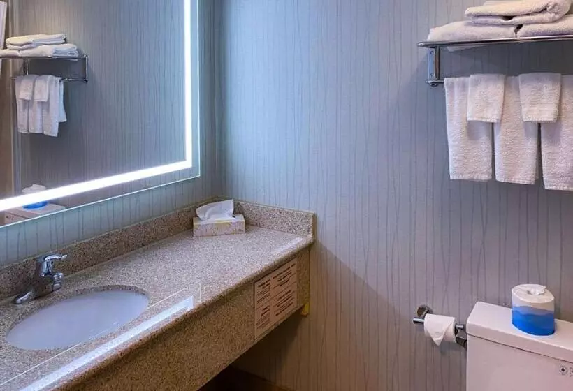 Отель Quality Inn